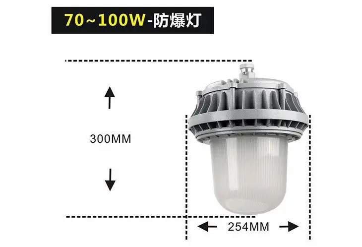 新型NFC9186内场防爆灯III型