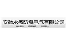 安徽永盛防爆电气有限公司