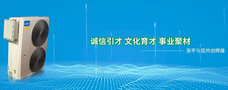 浙江洛平防爆电气有限公司